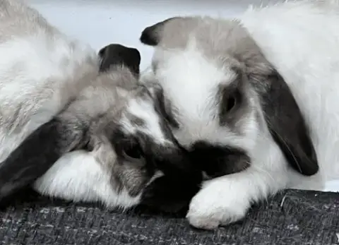Roxanne And Theo