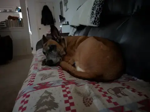 Athena photo 2