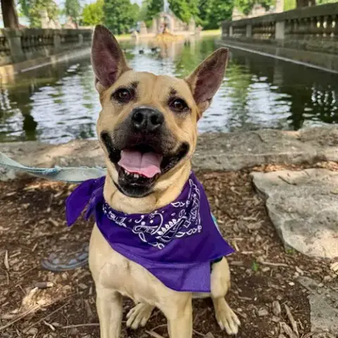 Joanna