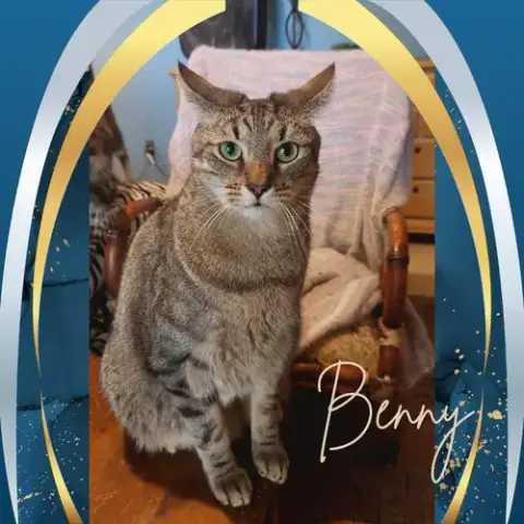 Benny photo 3