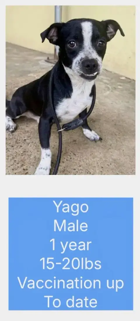Yago