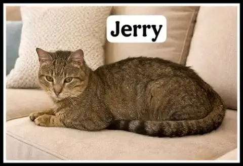 Jerry photo 3