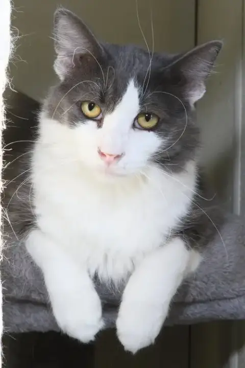 Fonzie photo 3