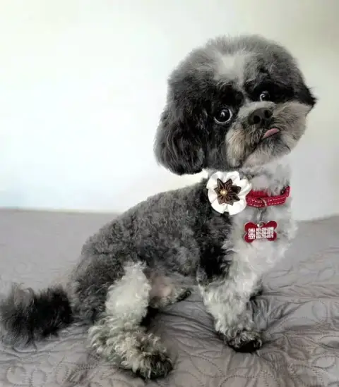Teddy Ruxpin photo 2