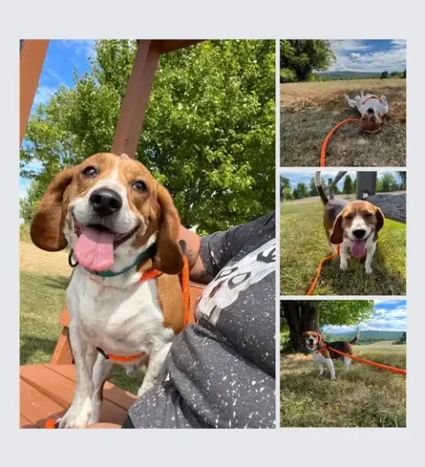 Cooper photo 2