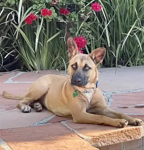 Missy photo 3