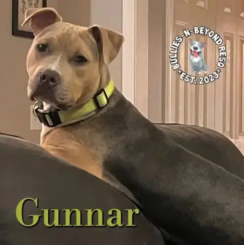 Gunnar