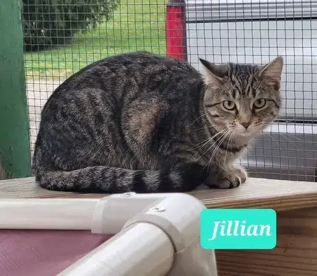 Jillian-Sponsored photo 2