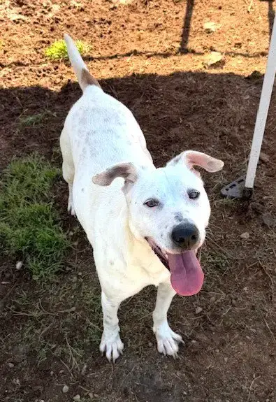Rally photo 3