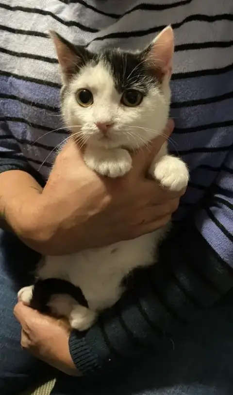 Calipurr photo 3