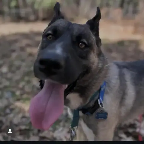 Arlo photo 2