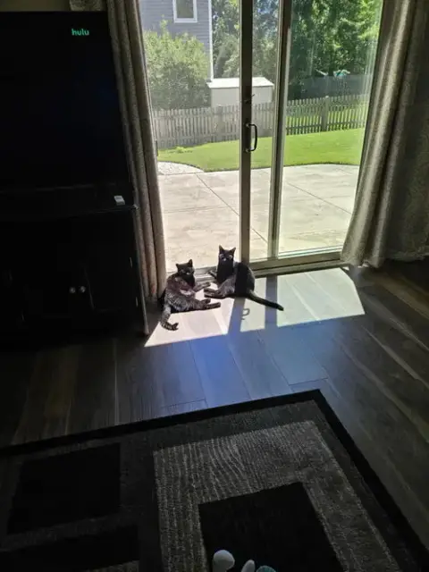 Dizzy photo 5