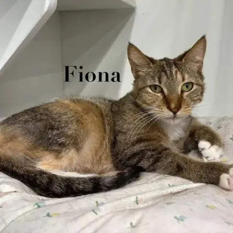 Fiona