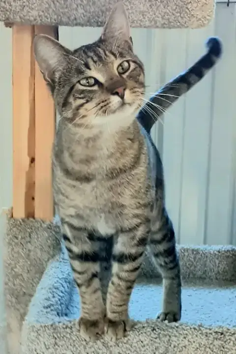 Fred