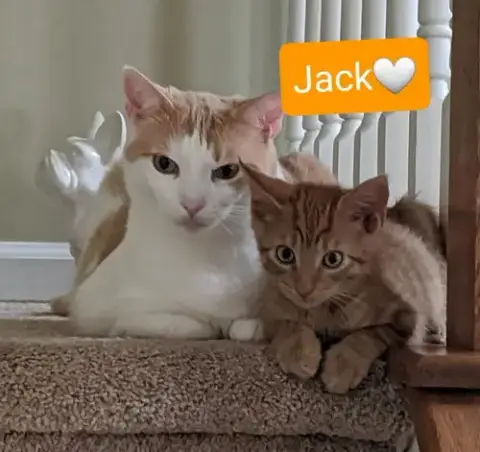 Jack