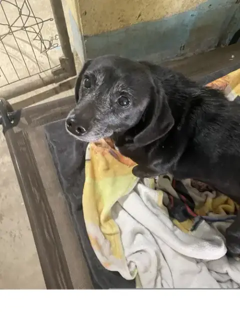 Zoe