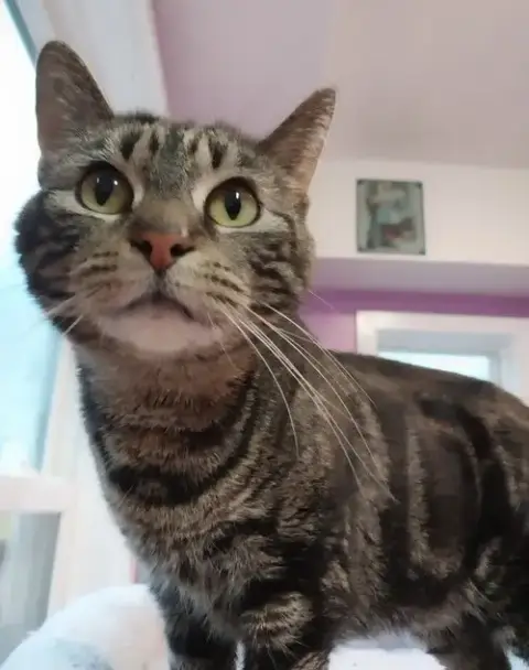 Lotus * In Foster *