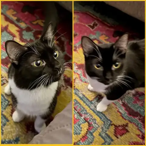 Polly And Caspian