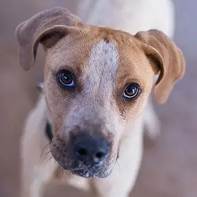 Titus photo 5