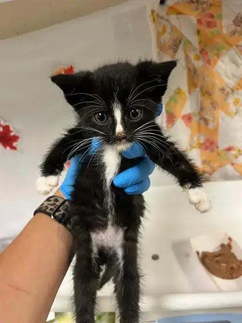 Grim
