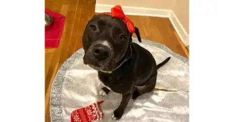 Mia