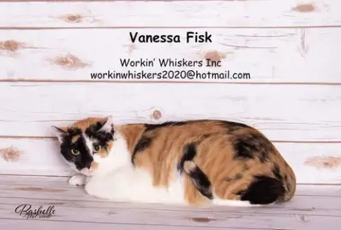 Vanessa Fisk
