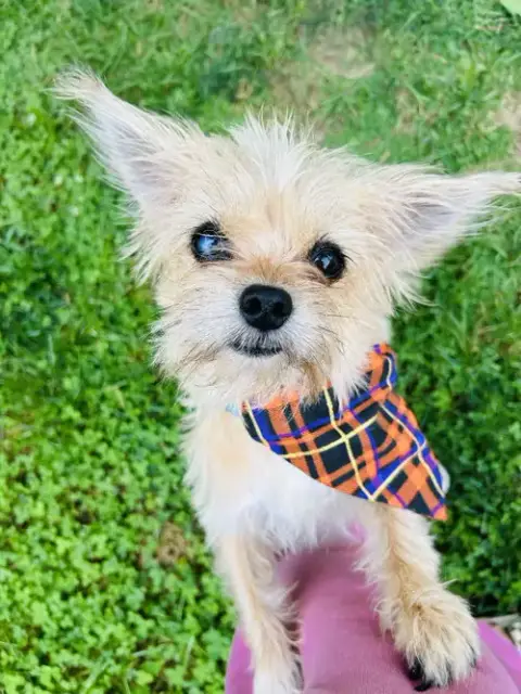 Sadie photo 4