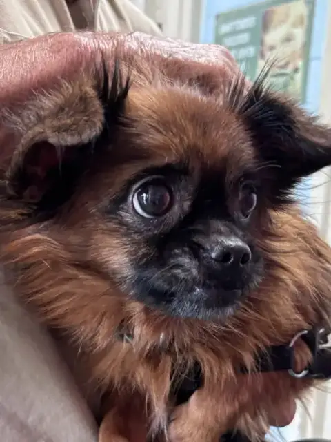 General “Zip:” Not At Shelter photo 3