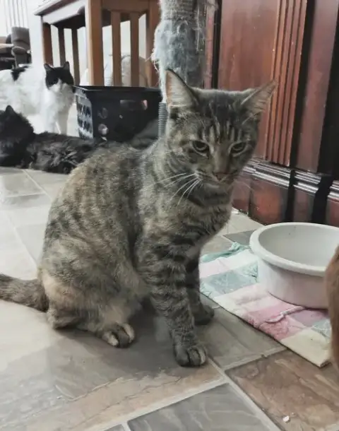 Coco