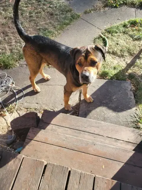 Zeus photo 3