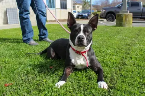 Gracie May 45677