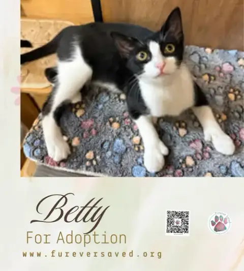 Betty photo 4