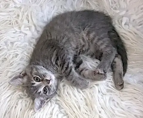 Dakota photo 3