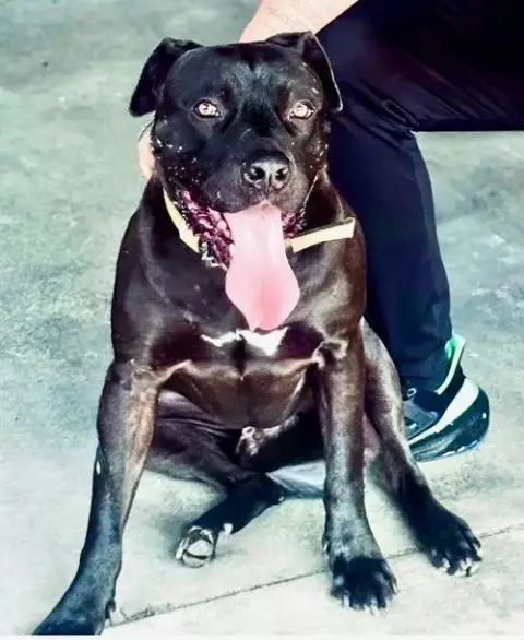 Milo
