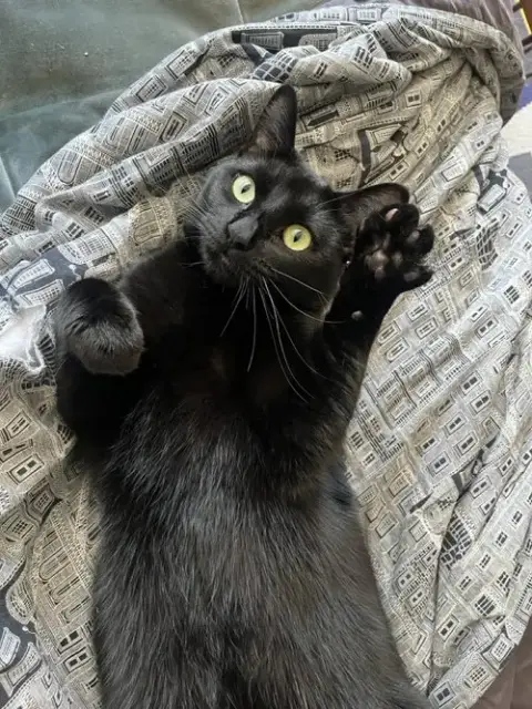 Kiki photo 3