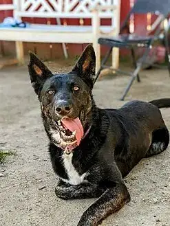 Luna photo 2