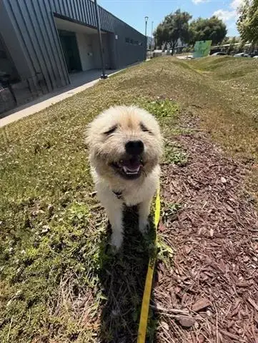 Doug