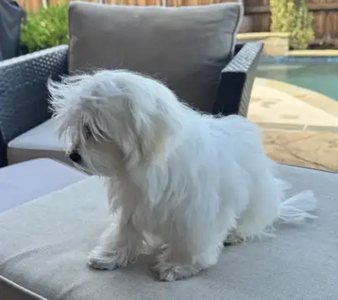 Bella photo 4