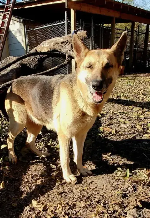 Delilah photo 2
