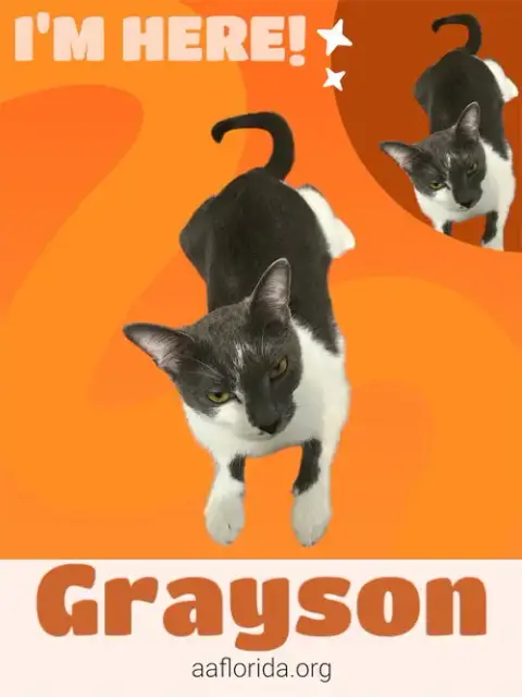 Callie & Grayson photo 2