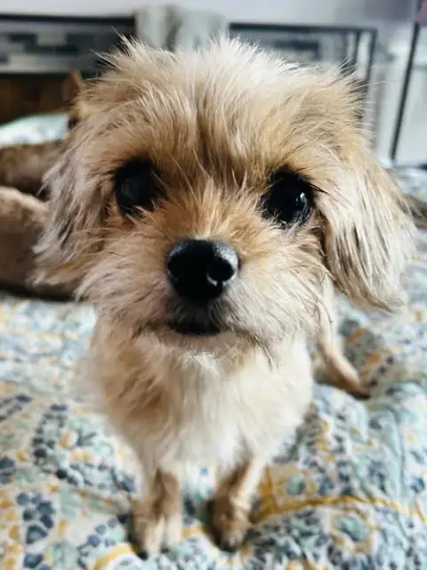 Sadie photo 3