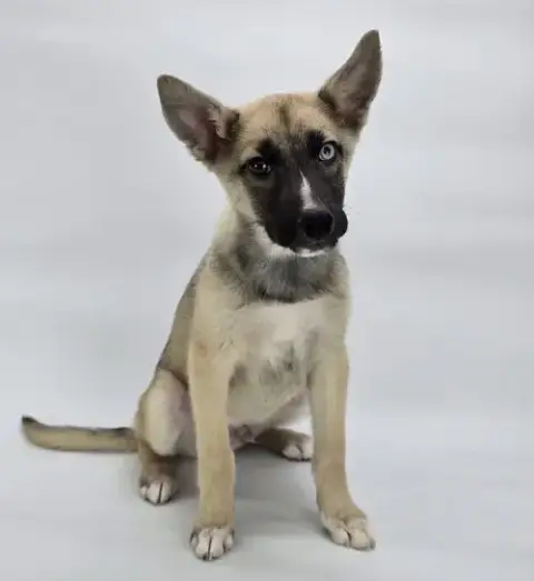 Parker