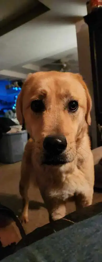 Reggie photo 2
