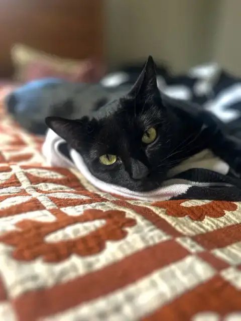Kiki photo 4