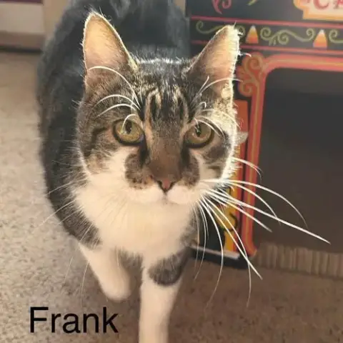 Frank photo 2