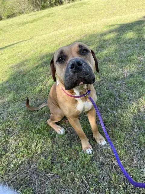 *Nala