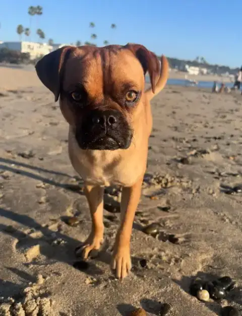 Arlo photo 4