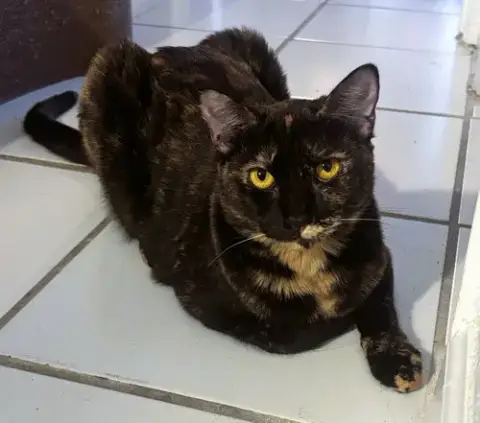 Topaz photo 3