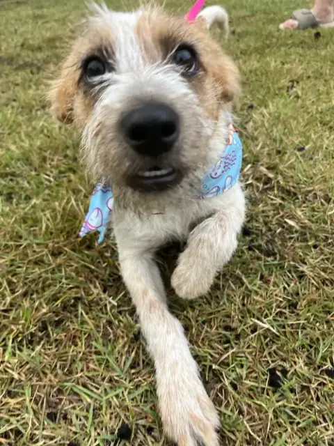 Jack Jack photo 3