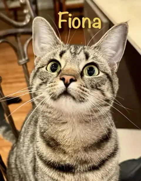 Fiona